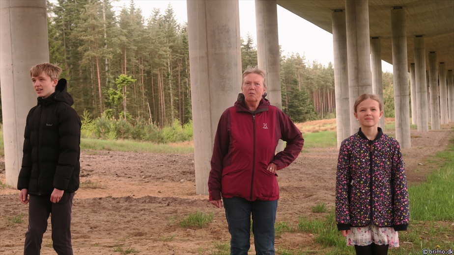 Billede nummer 12682