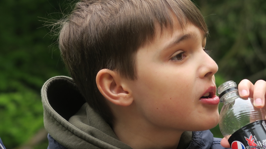 Billede nummer 12686