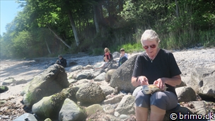 Miniature af billede nummer 12694