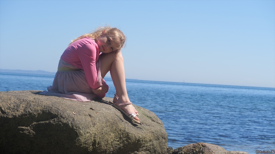 Billede nummer 12696