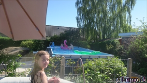 Miniature af billede nummer 12697