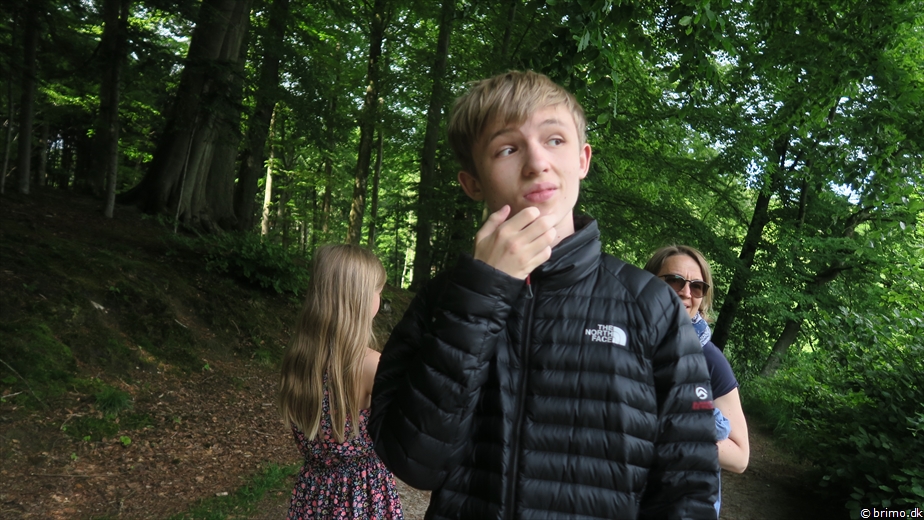 Billede nummer 12698