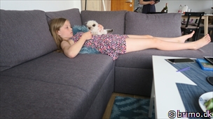 Miniature af billede nummer 12701