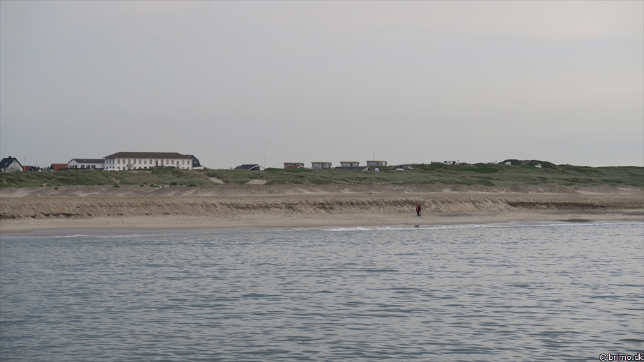 Billede nummer 12709