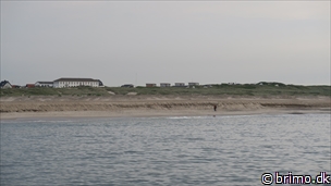 Miniature af billede nummer 12709