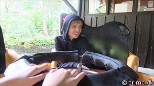 Miniature af billede nummer 12715