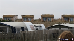 Miniature af billede nummer 12724