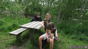 Miniature af billede nummer 12725