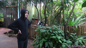 Miniature af billede nummer 12730