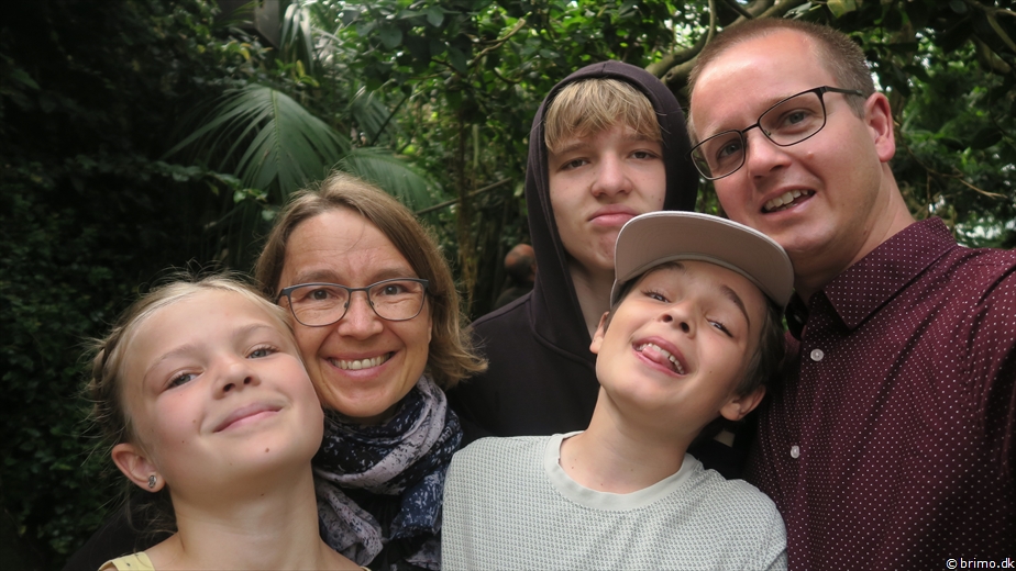 Billede nummer 12731