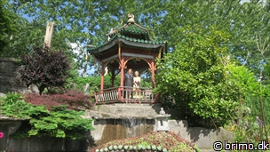 Miniature af billede nummer 12732