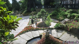 Miniature af billede nummer 12733