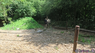 Miniature af billede nummer 12735