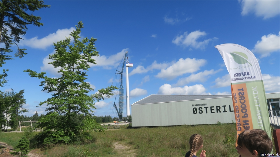 Billede nummer 12736