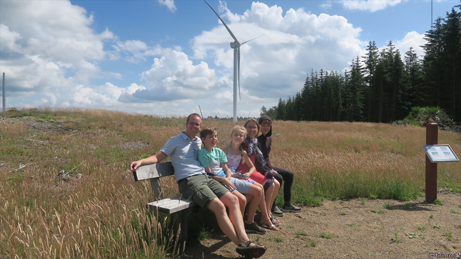 Billede nummer 12737