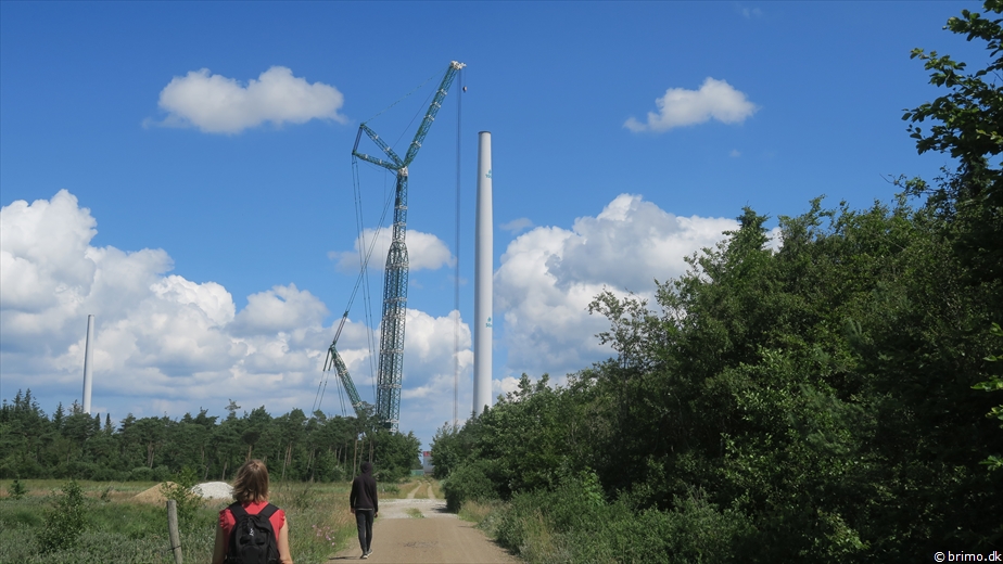 Billede nummer 12738