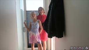 Miniature af billede nummer 12739