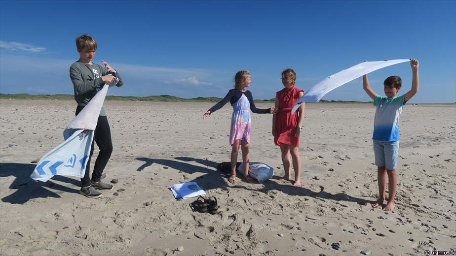 Billede nummer 12740