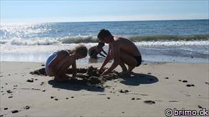 Miniature af billede nummer 12741