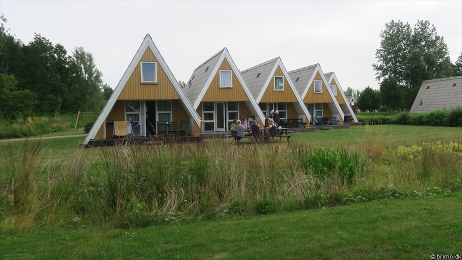 Billede nummer 12749