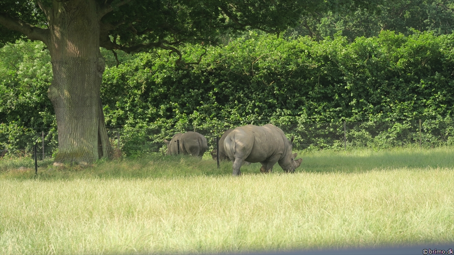 Billede nummer 12756