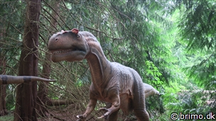 Miniature af billede nummer 12762