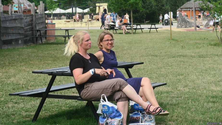 Billede nummer 12763