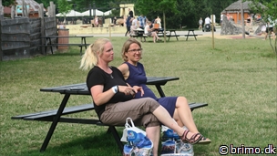 Miniature af billede nummer 12763