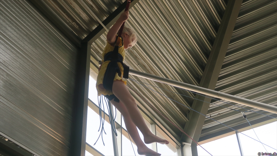 Billede nummer 12765