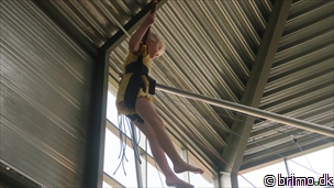 Miniature af billede nummer 12765