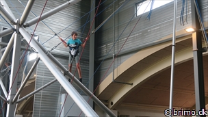 Miniature af billede nummer 12766