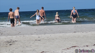 Miniature af billede nummer 12778