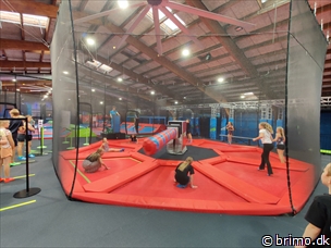 Miniature af billede nummer 12781