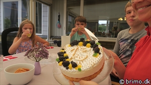 Miniature af billede nummer 12784