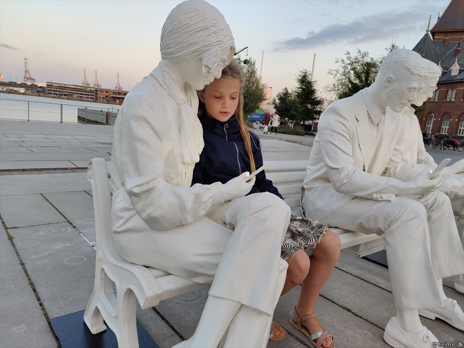 Billede nummer 12799