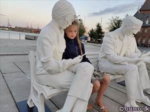 Miniature af billede nummer 12799