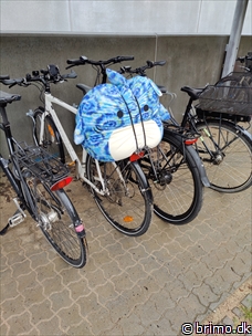 Miniature af billede nummer 12801