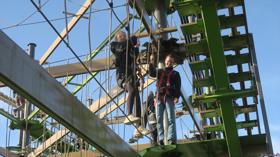 Billede nummer 12805