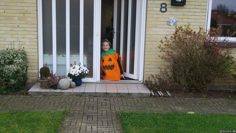 Billede nummer 12811