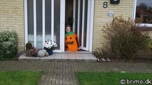 Miniature af billede nummer 12811