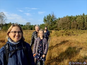 Miniature af billede nummer 12812