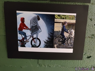 Miniature af billede nummer 12813