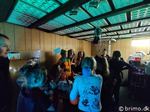 Miniature af billede nummer 12814