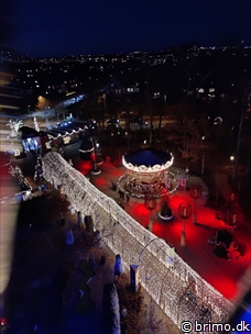 Miniature af billede nummer 12818