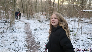 Miniature af billede nummer 12820