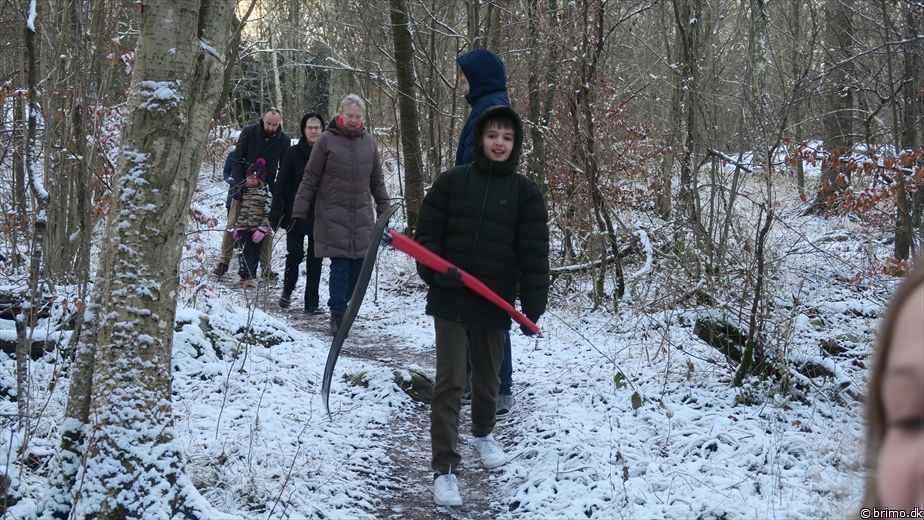 Billede nummer 12821