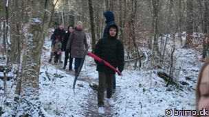 Miniature af billede nummer 12821