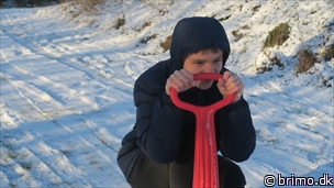 Miniature af billede nummer 12827