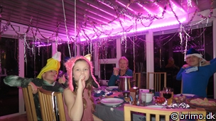 Miniature af billede nummer 12828