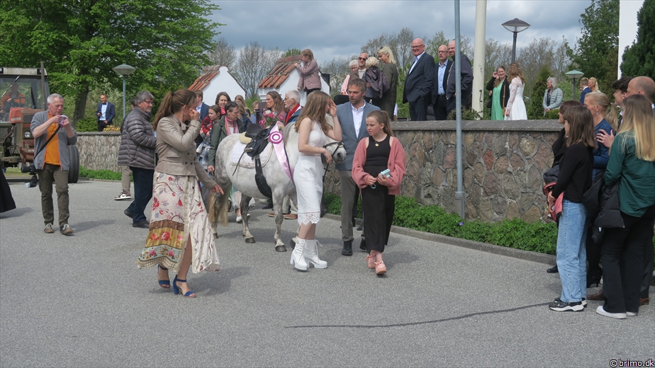 Billede nummer 12846